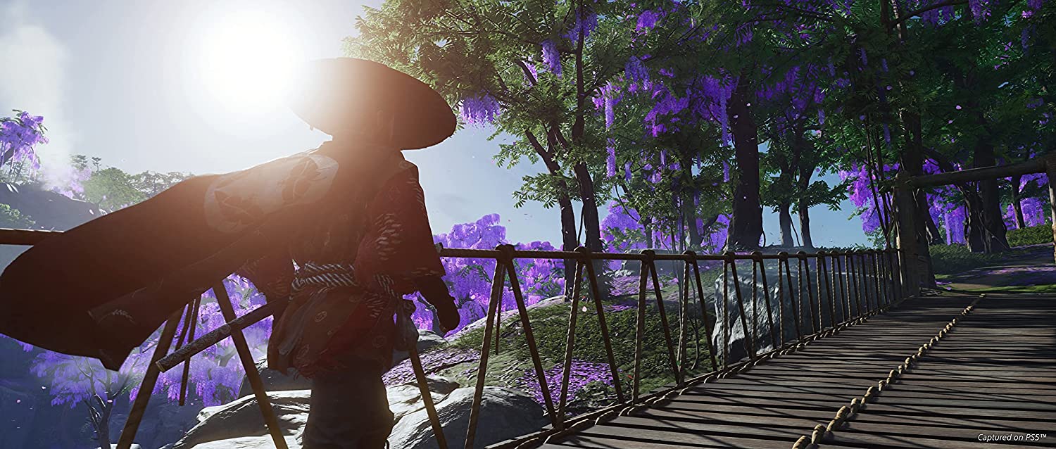 Ghost of Tsushima - Director's Cut